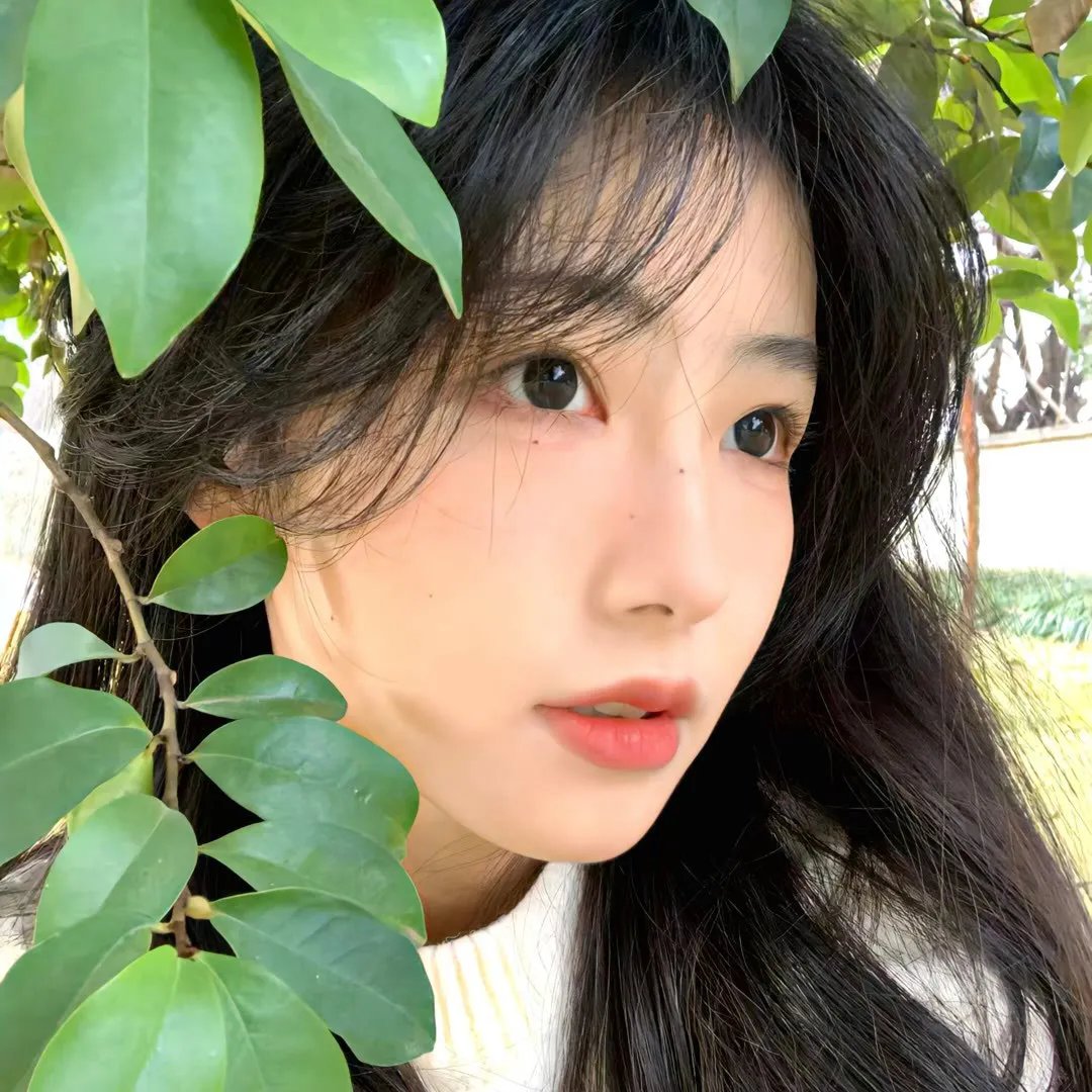 第5届中国电影华表奖